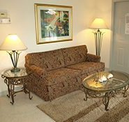 Downstairs Suite - Living Room